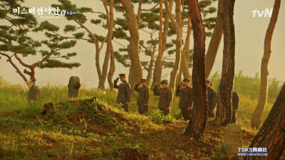【Mr.Sunshine】