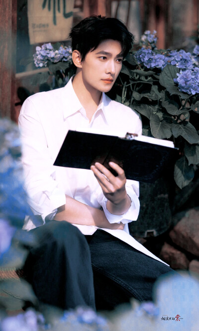 杨洋