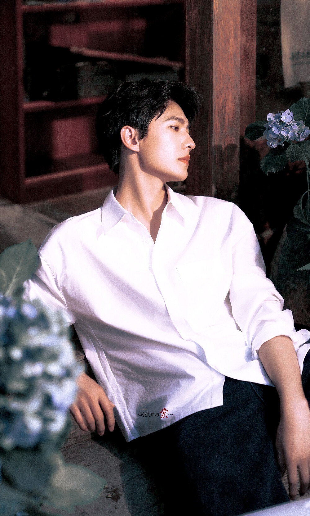 杨洋