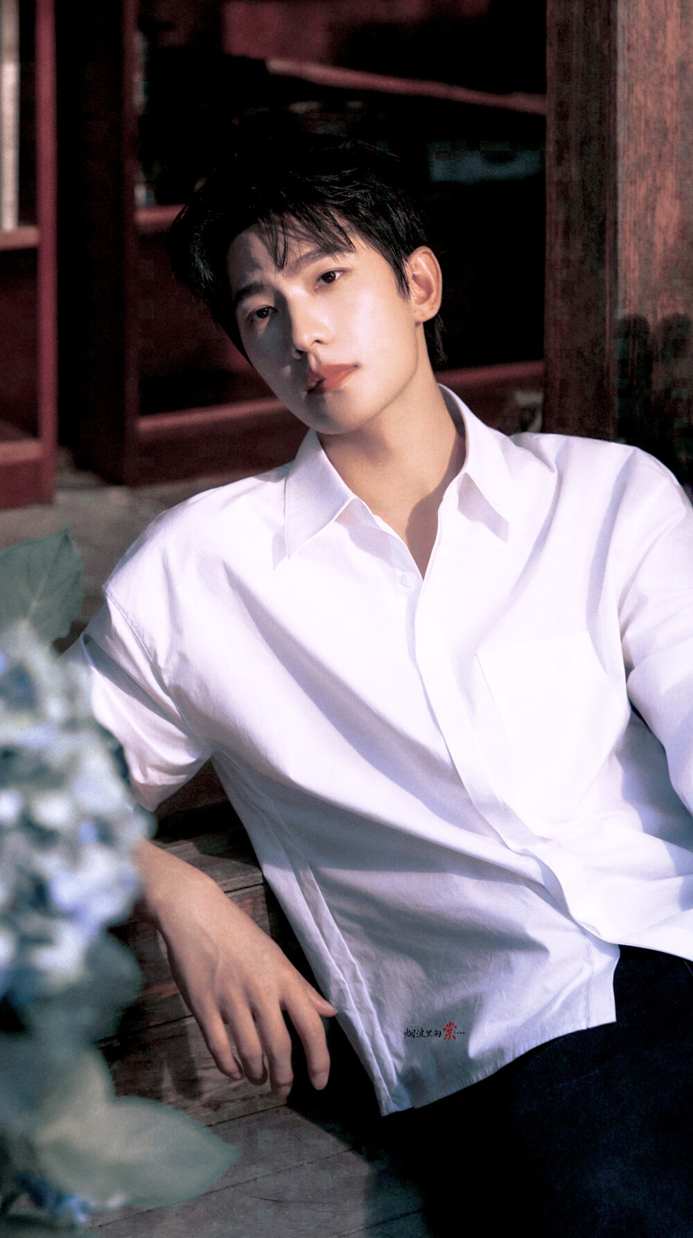 杨洋