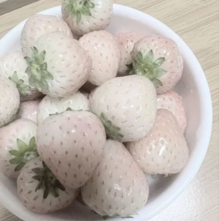粉色系