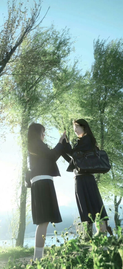壁纸