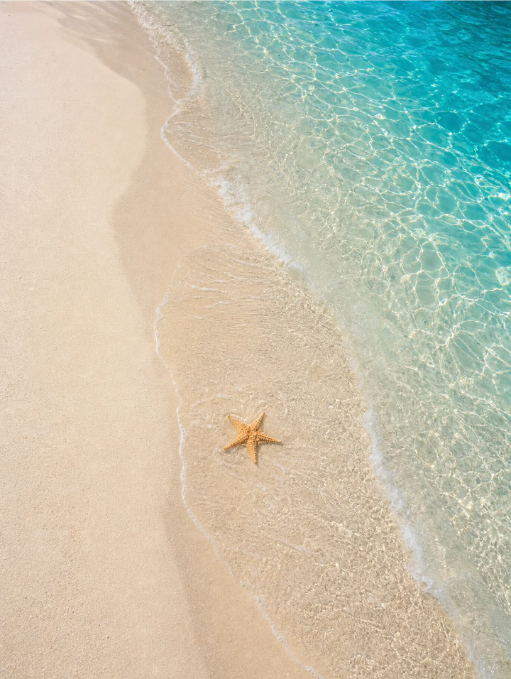 海的背景图 蓝色系背景图