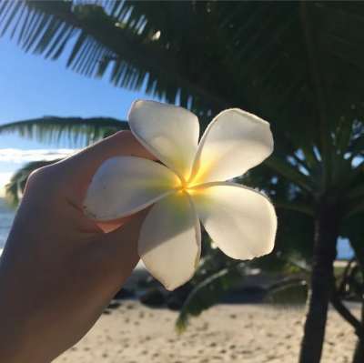 海的背景图 蓝色系背景图