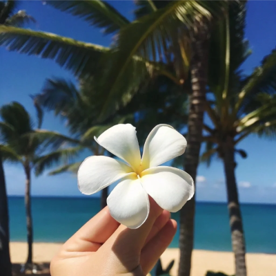 海的背景图 蓝色系背景图