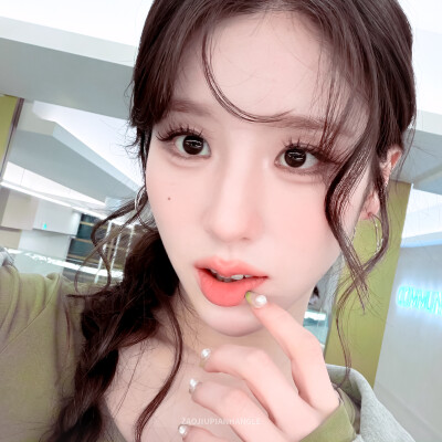 田姬振