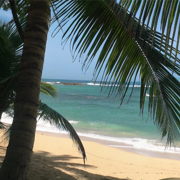 海的背景图 蓝色系背景图