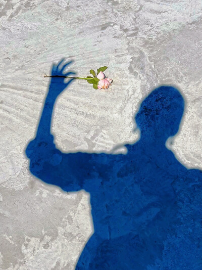 日常
我错过的不止一个夏天