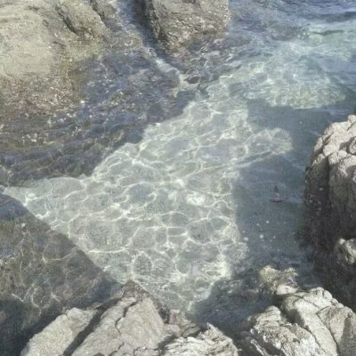 想和你去看海