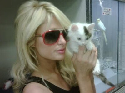 Paris Hilton