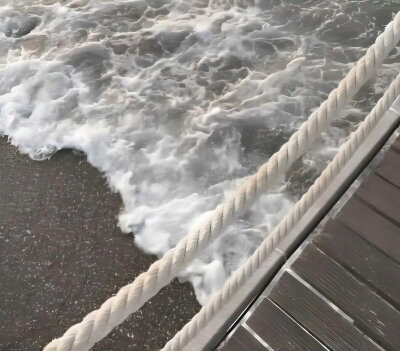 想和你去看海