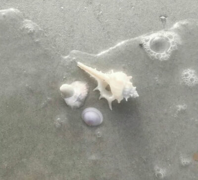 想和你去看海
