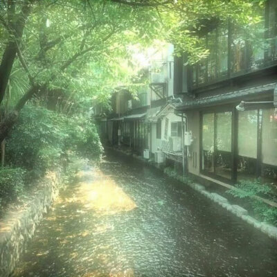 绿色系