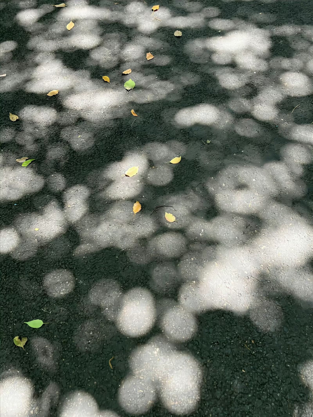 阳光光线