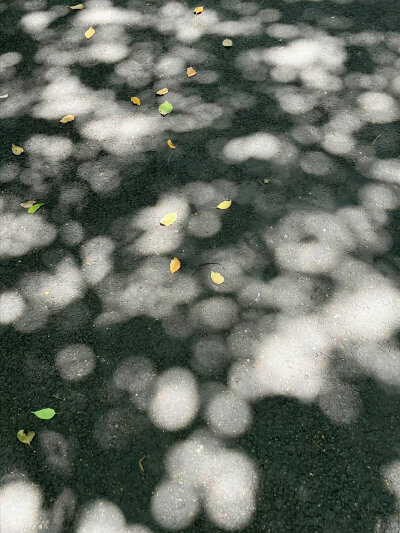 阳光光线
