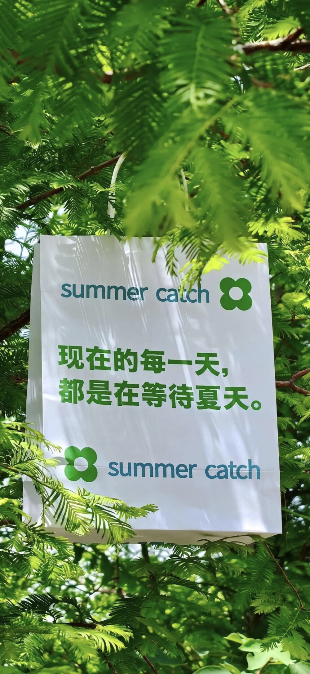 侵删