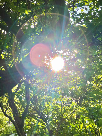 阳光光线