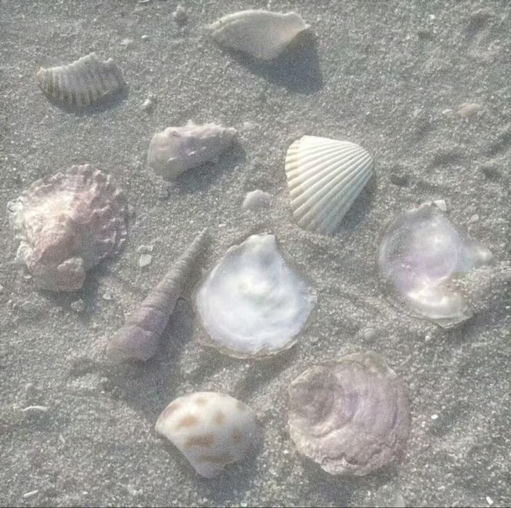 想和你去看海
