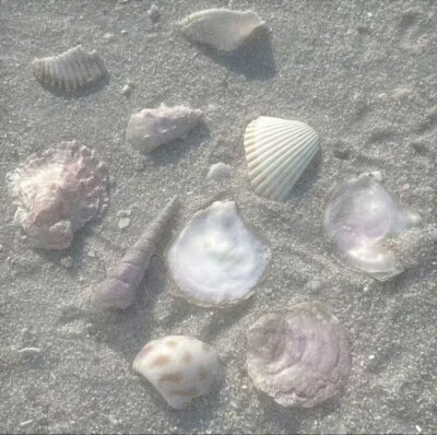 想和你去看海