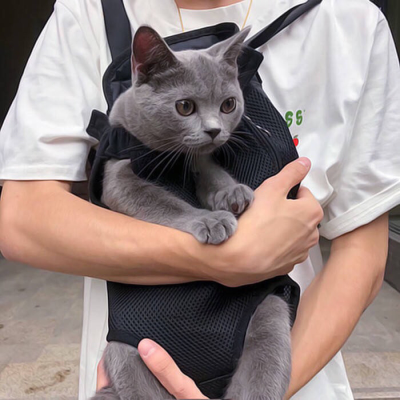 头像丨男头 