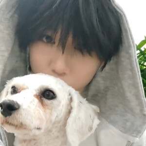 猪也有救世情节