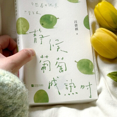 微信背景图