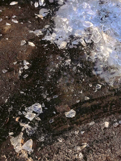 日常
私は変わる
