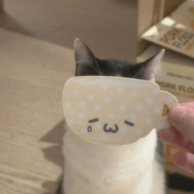 小猫