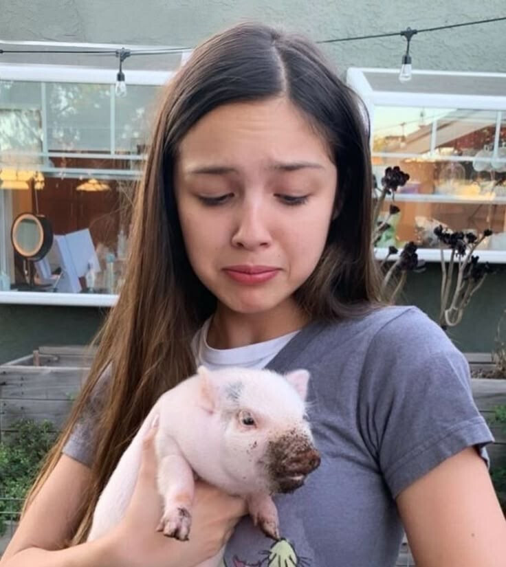 Olivia Rodrigo 