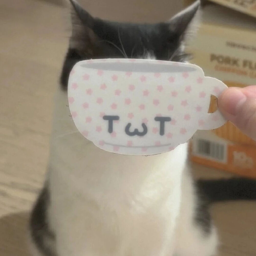 小猫