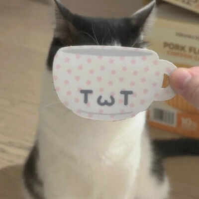 小猫