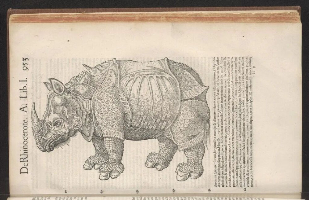 康拉德·格斯纳
《犀牛》出自《动物史第一卷》
（Historiae Animalium I）
1551年，木刻版画，美国国会图书馆
