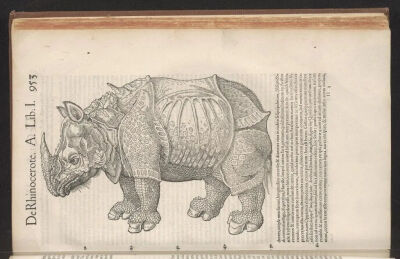 康拉德·格斯纳
《犀牛》出自《动物史第一卷》
（Historiae Animalium I）
1551年，木刻版画，美国国会图书馆

