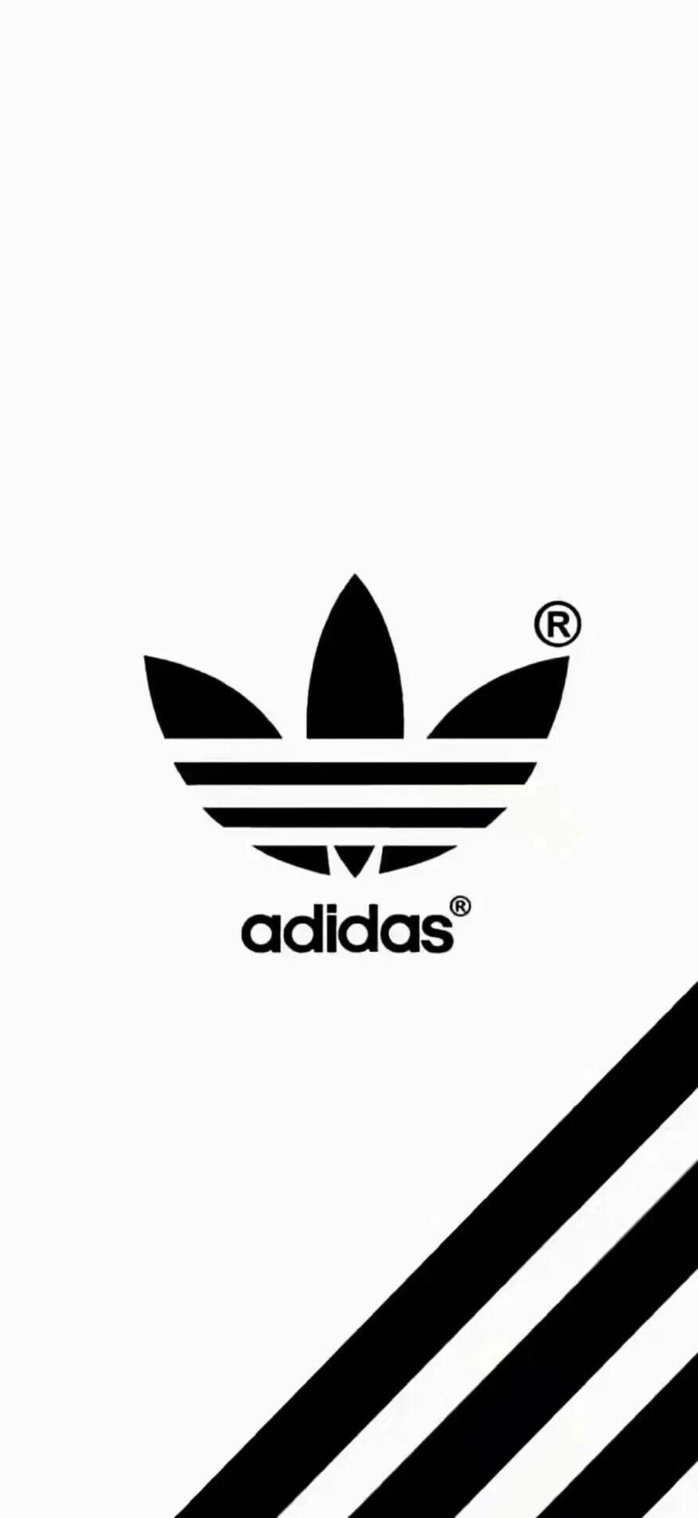 阿迪达斯 三叶草