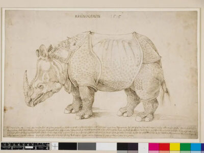 阿布雷特·丢勒
（Albrecht Dürer）
《犀牛》（Rhinoceros）
1515年，笔与棕色墨水，27.4cmx42cm
大英博物馆
