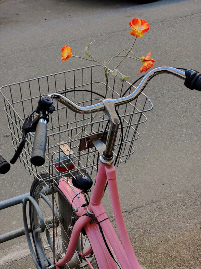日常
酣春