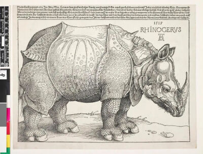 阿布雷特·丢勒
（Albrecht Dürer）
《犀牛》（Rhinocerus）
1515年，木刻版画，21.2cmx29.6cm
大英博物馆
