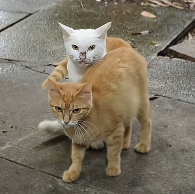 ～