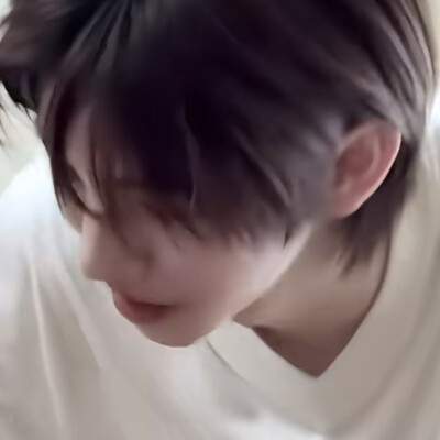 金主训