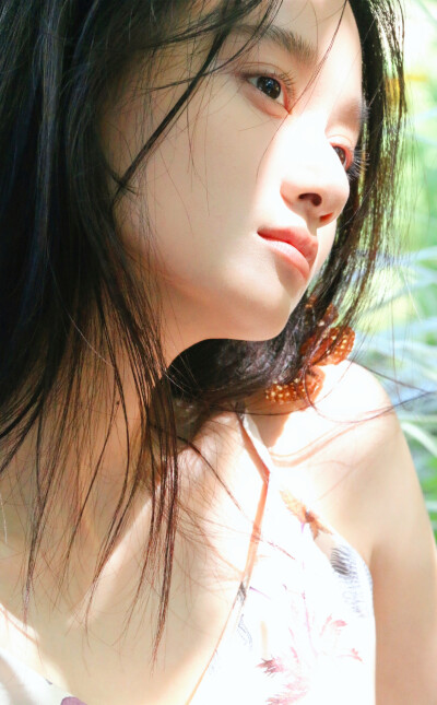 夏梦