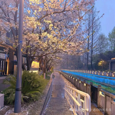 背景图