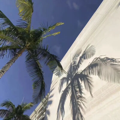 背景图