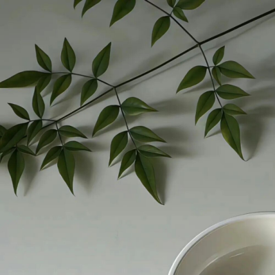 背景图