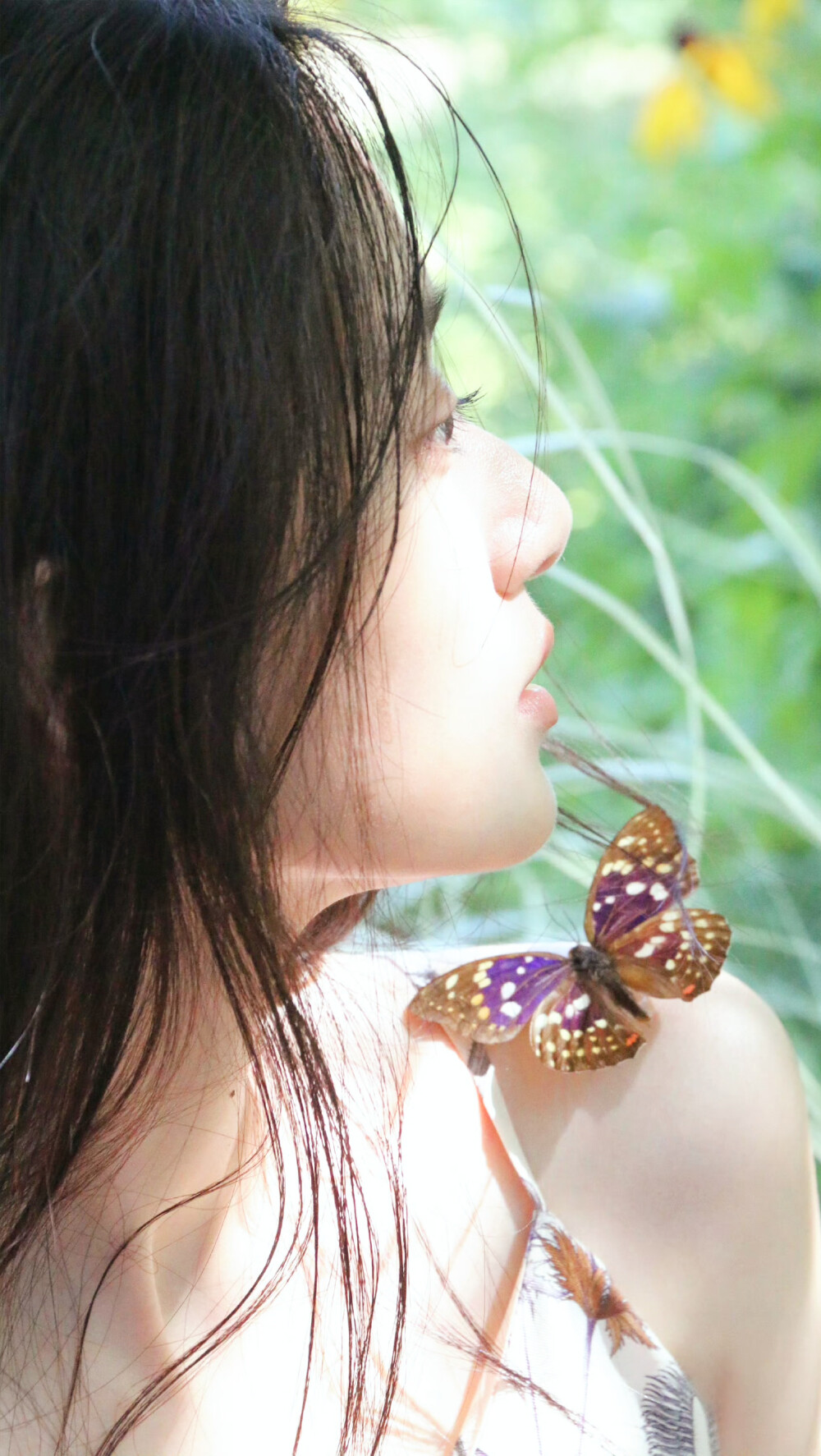 夏梦