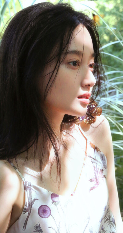 夏梦