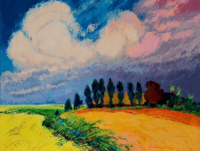 荷兰现代画家
Jannes de Vries