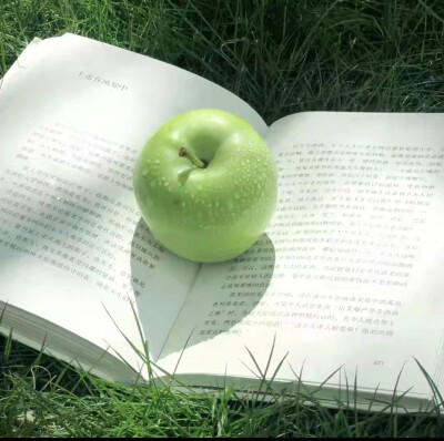 绿色系两张