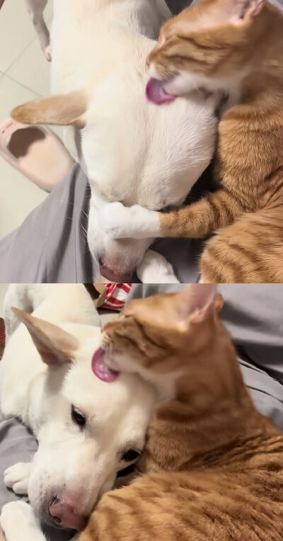 ～