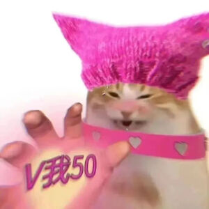 猫猫表情包