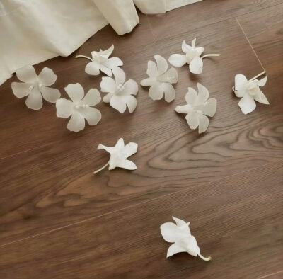 棕色系